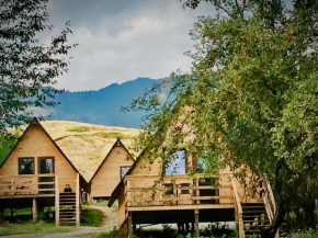 Cabanele lu’ Dinu, Curtea De Argeş